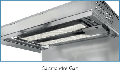 Salamandre gaz - Plafond fixe - 24096GR