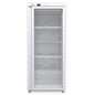 SOFRACOLD - Armoire réfrigérée positive - Finition blanche - Porte vitrée - 400 L - AE401PVW